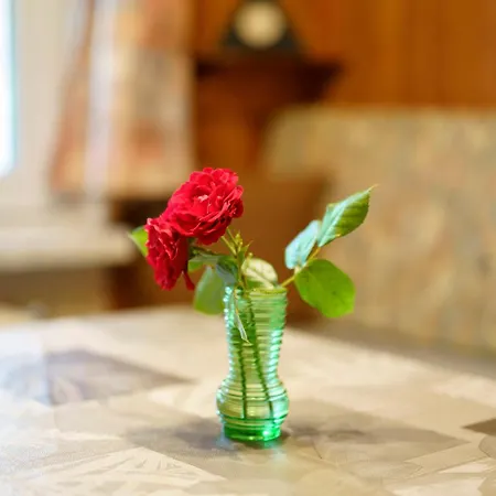 Ferienhaus Carpin Carpin