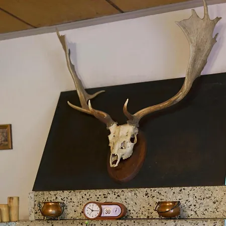 Hébergement de vacances Ferienhaus Carpin *